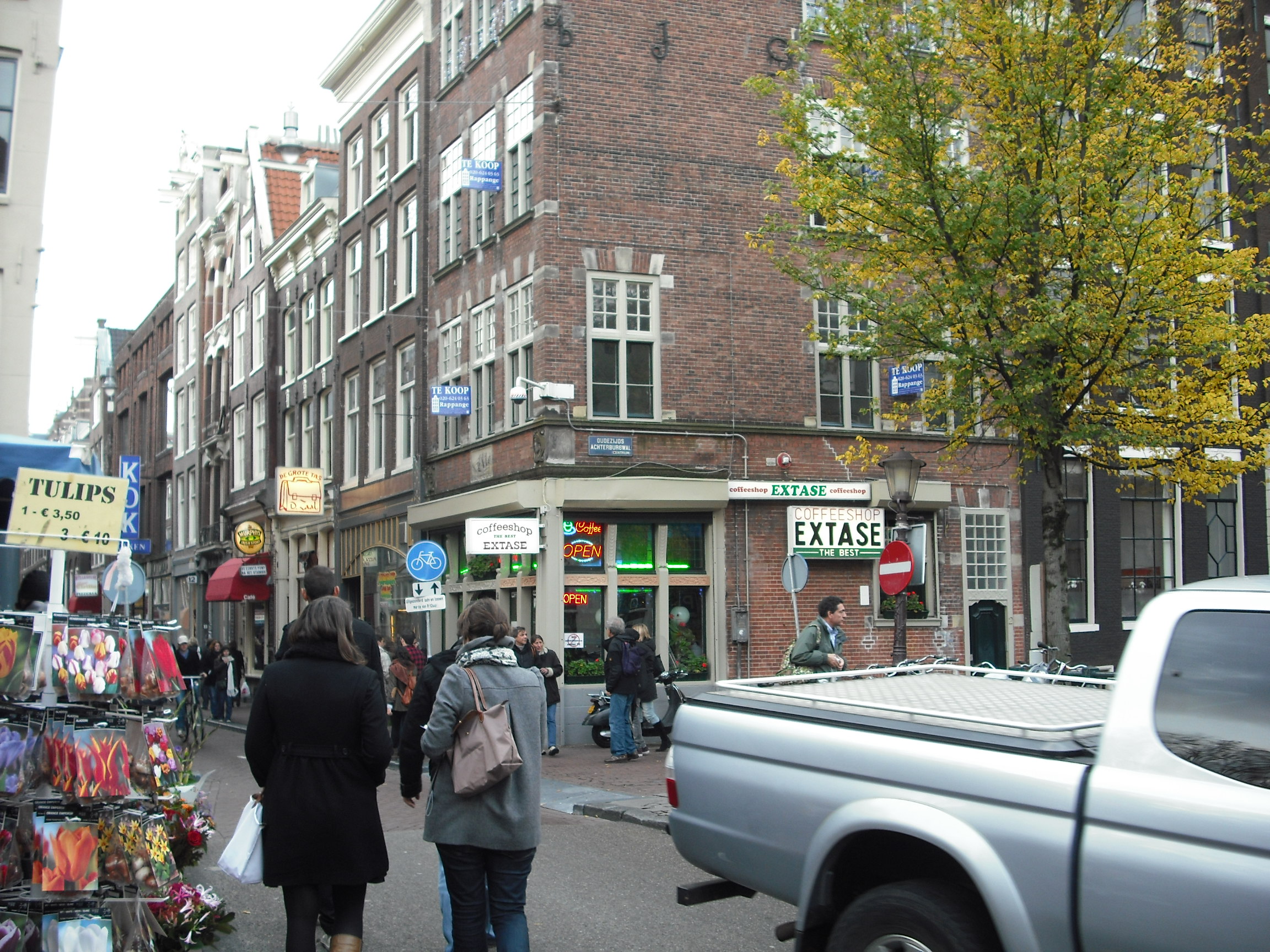 オランダ　旅行、写真、画像、観光体験談